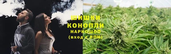 спиды Богородск