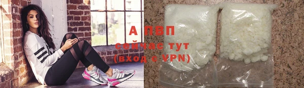 спиды Богородск