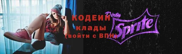 спиды Богородск