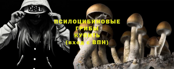 спиды Богородск