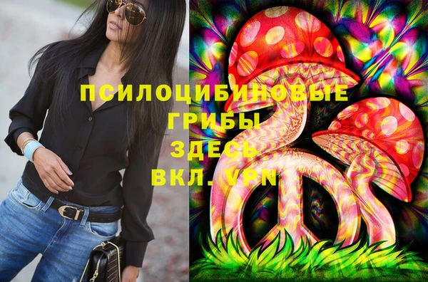 спиды Богородск
