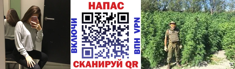 Конопля сатива  маркетплейс формула  Яблоновский  ссылка на мегу как войти 